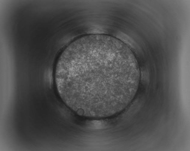 X0000100360302200806271429