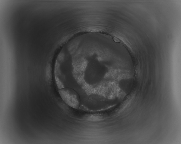 X0000100360303200806271429