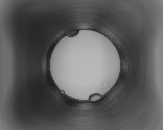 X0000100360304200806271429