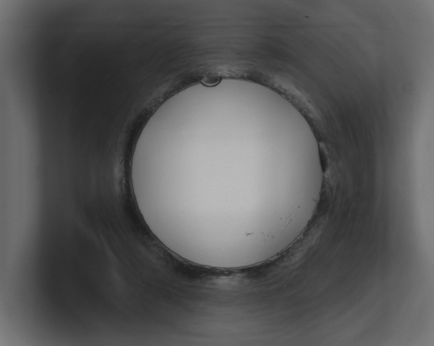 X0000100360306200806271429