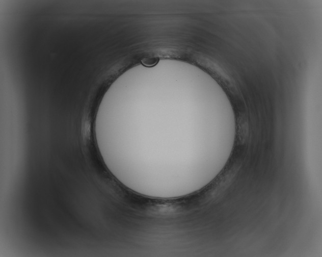 X0000100360310200806271429