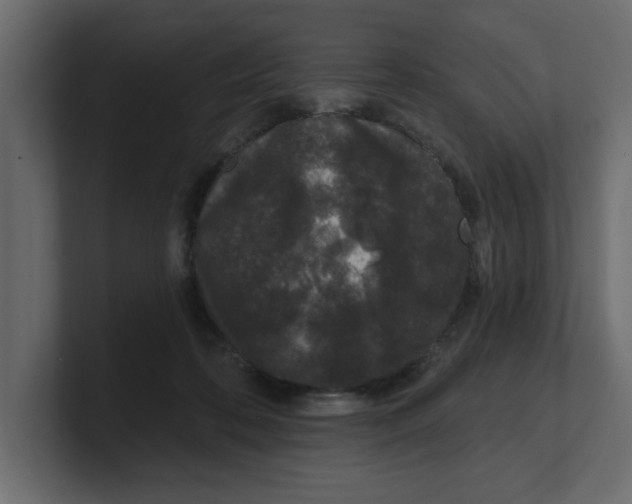 X0000100360316200806271429