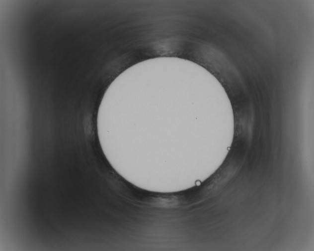 X0000100360317200806271429