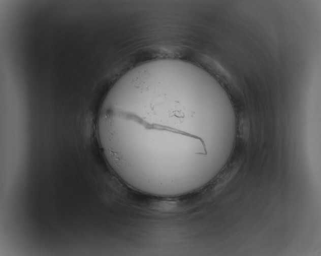 X0000100360318200806271429