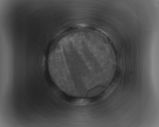 X0000100360319200806271429