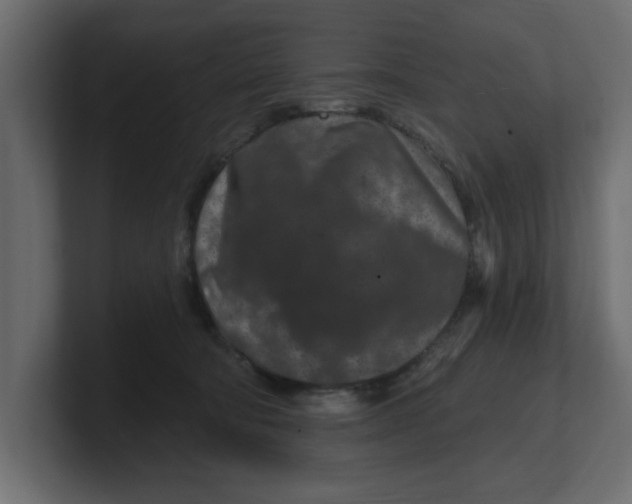 X0000100360322200806271429