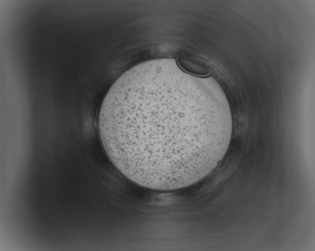 X0000100360324200806271429