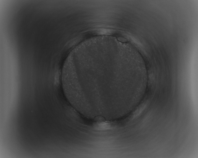 X0000100360325200806271429