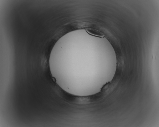 X0000100360327200806271429