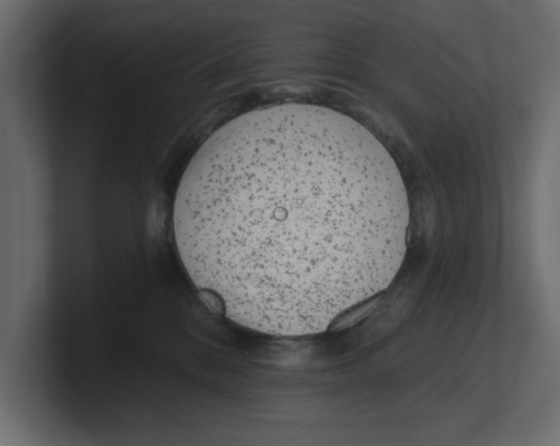 X0000100360328200806271429