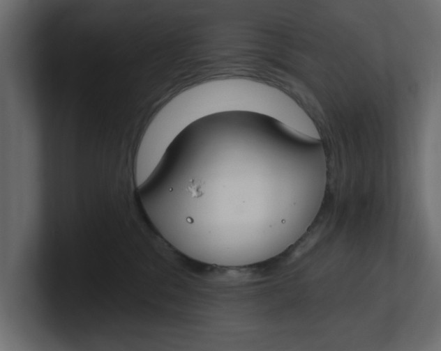 X0000100360329200806271429