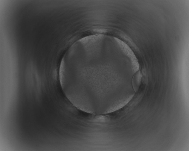 X0000100360330200806271429