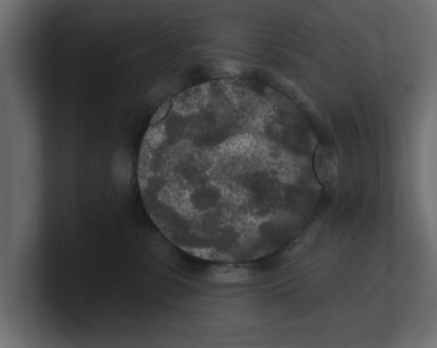 X0000100360331200806271429