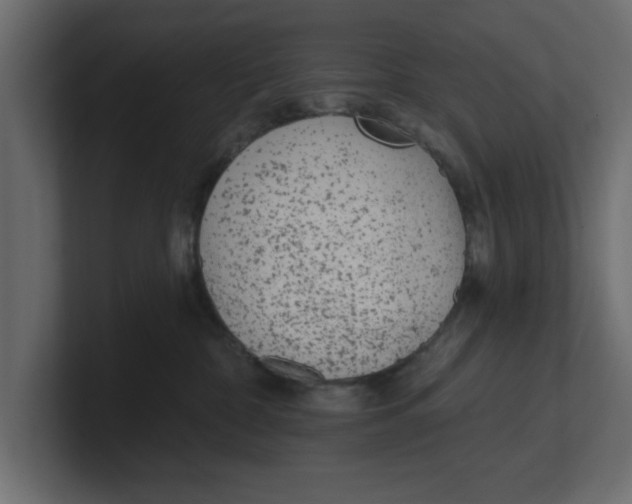 X0000100360332200806271429