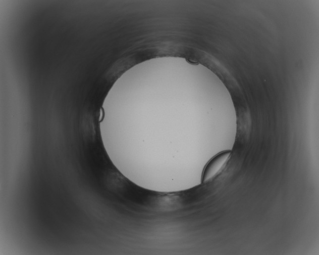 X0000100360333200806271429