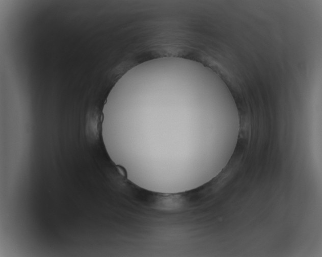 X0000100360334200806271429