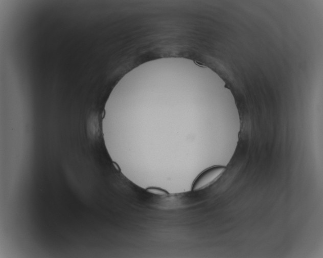 X0000100360335200806271429