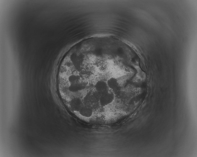 X0000100360337200806271428