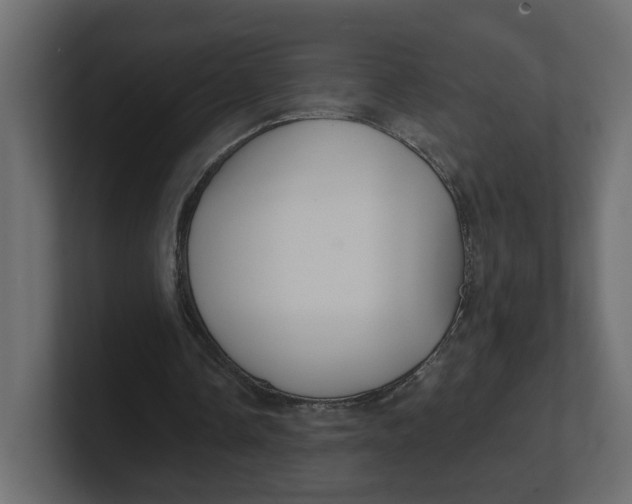 X0000100360338200806271428