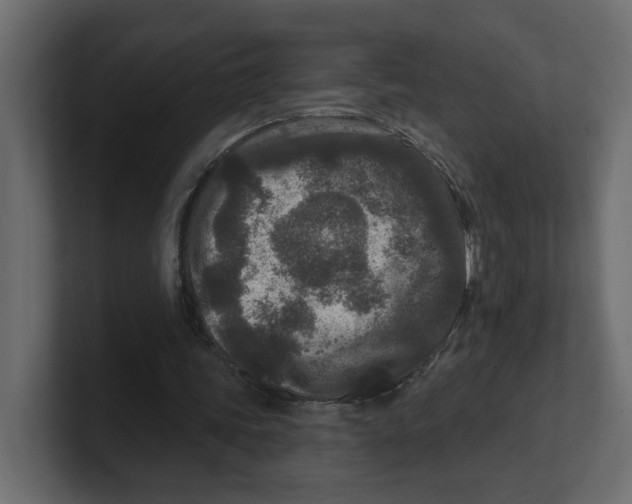 X0000100360339200806271428