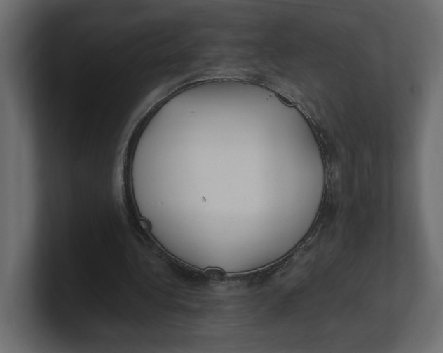 X0000100360340200806271428