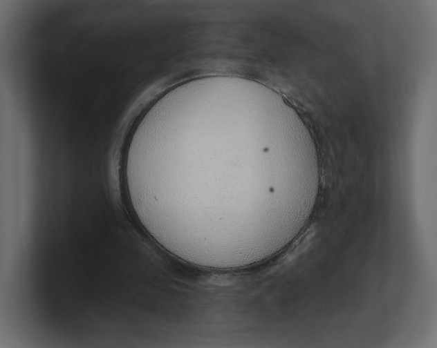 X0000100360341200806271428