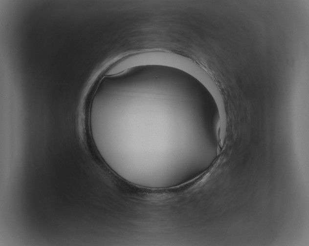 X0000100360342200806271428