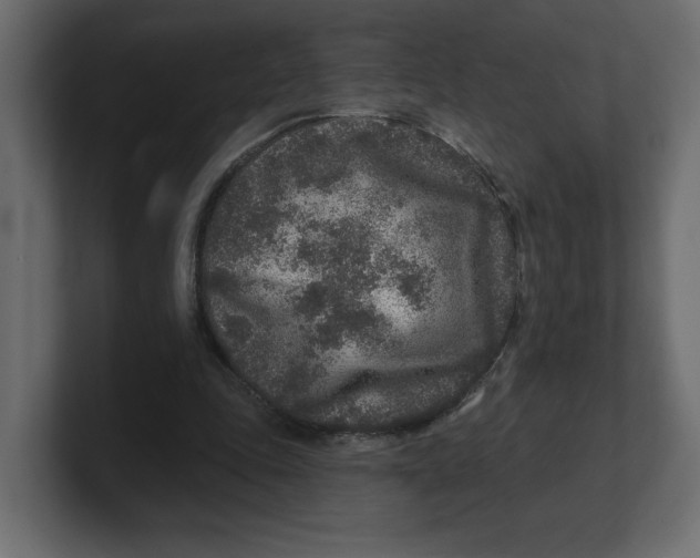 X0000100360343200806271428