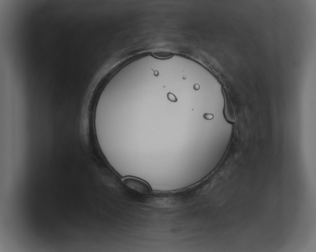 X0000100360344200806271428