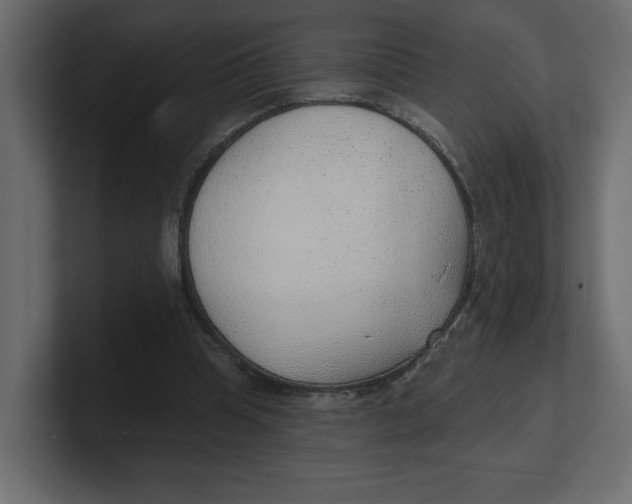 X0000100360345200806271428