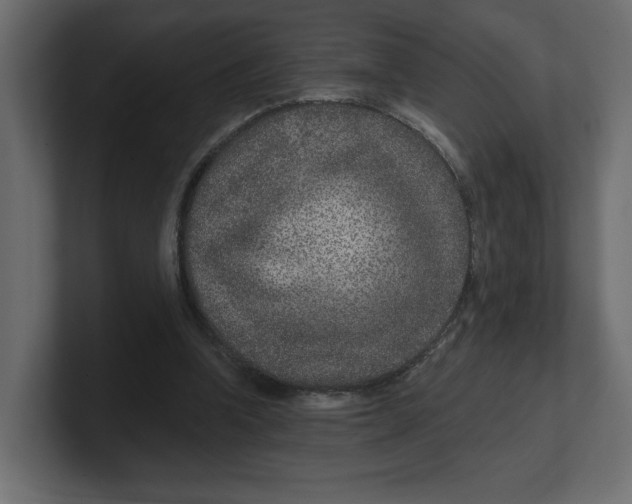 X0000100360346200806271428