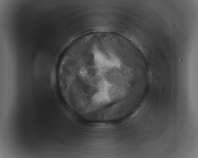 X0000100360347200806271428