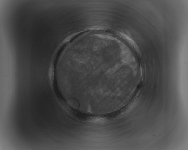 X0000100360348200806271428