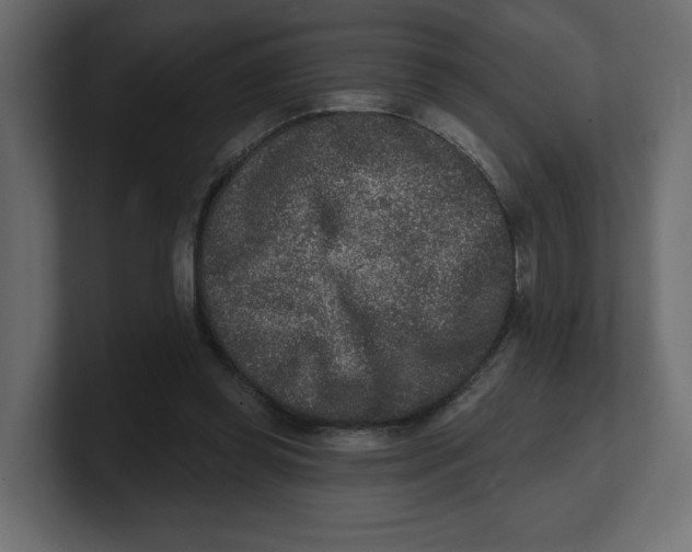 X0000100360349200806271428