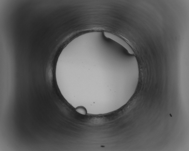 X0000100360350200806271428