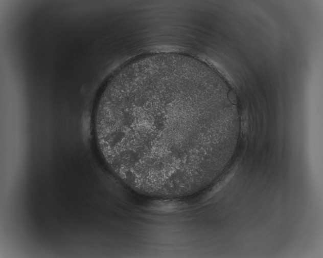 X0000100360351200806271428