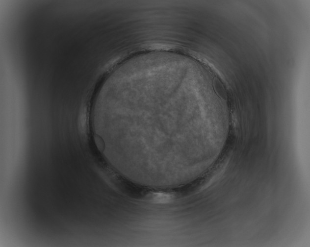 X0000100360352200806271428