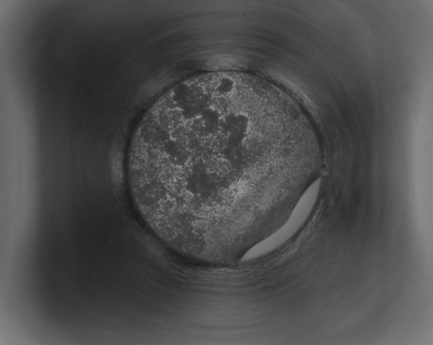 X0000100360353200806271428