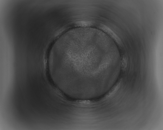 X0000100360355200806271428