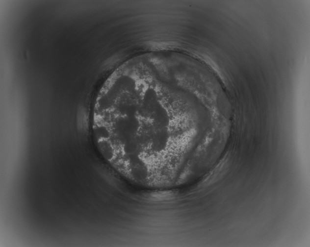 X0000100360357200806271428