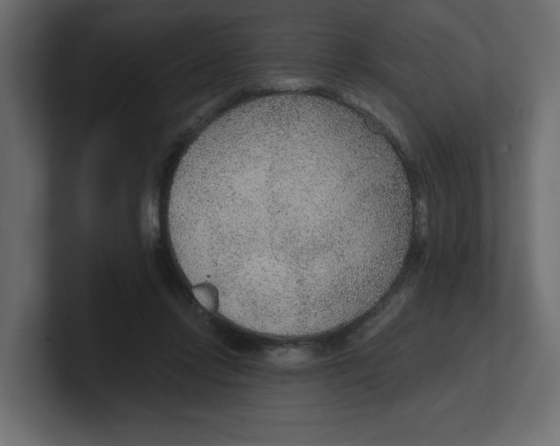 X0000100360358200806271428