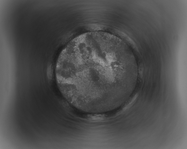 X0000100360359200806271428