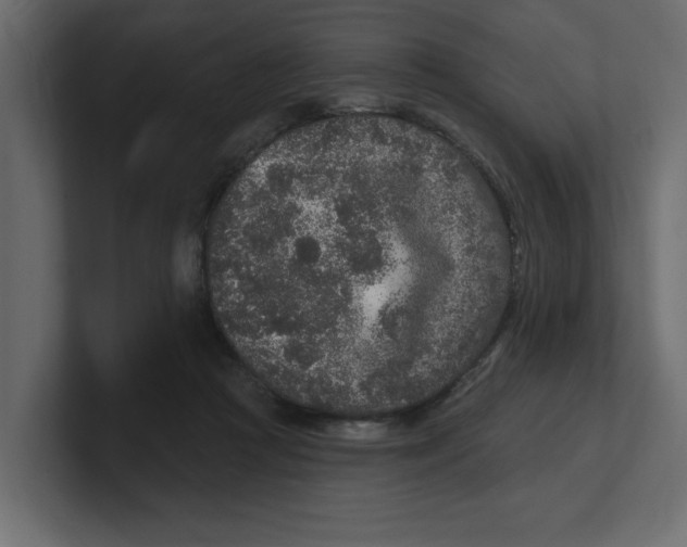 X0000100360361200806271428