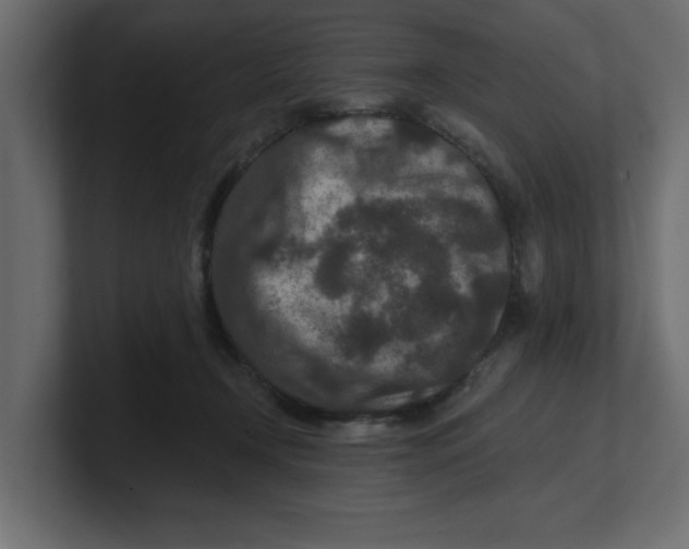 X0000100360366200806271428