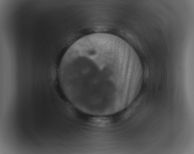 X0000100360367200806271428