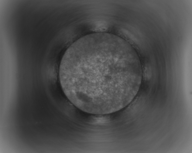 X0000100360370200806271428