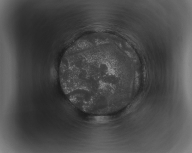 X0000100360371200806271429