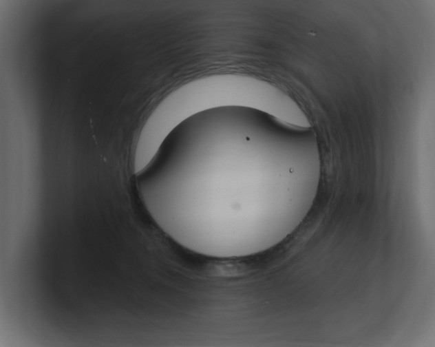 X0000100360372200806271429