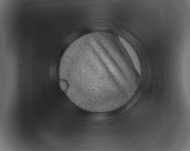 X0000100360377200806271429