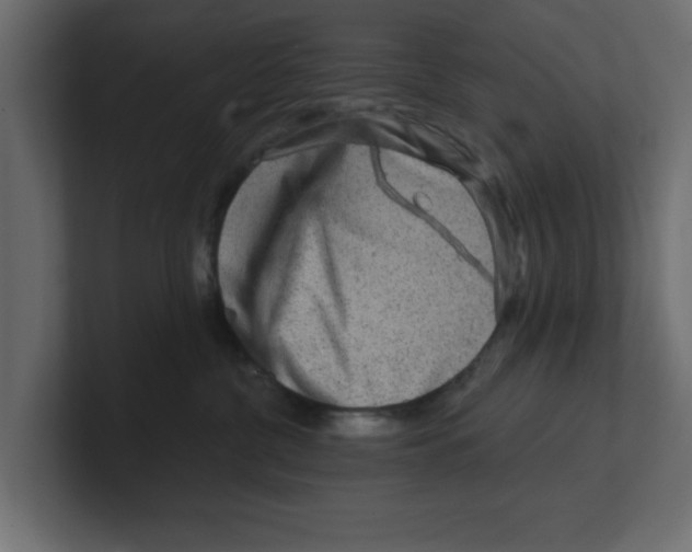 X0000100360380200806271429